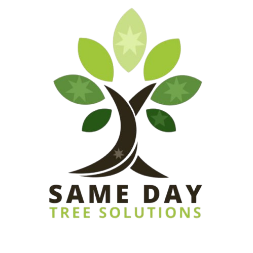 Same Day Tree Solutions logo